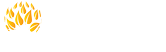 众金数为